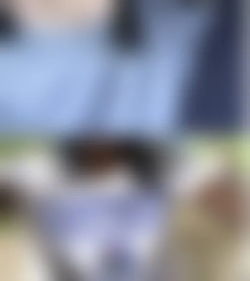 Q******3