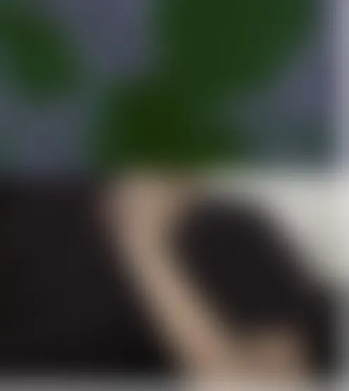 p****a