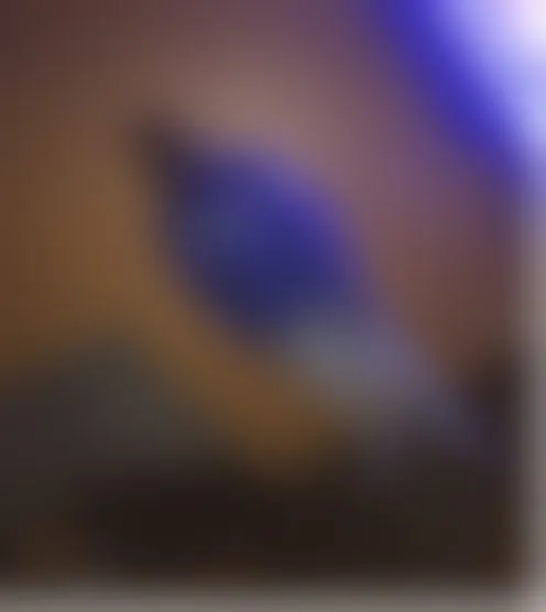 c******g