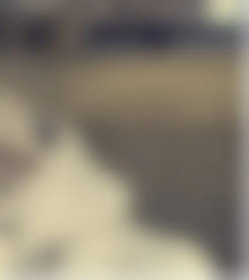 H******1