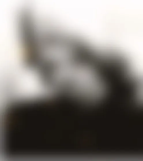 s**********9