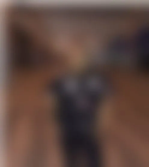 d**************1