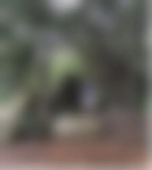 S******8