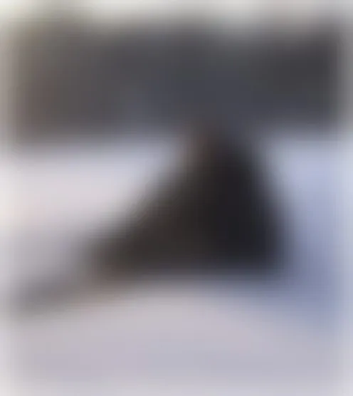 g*******l