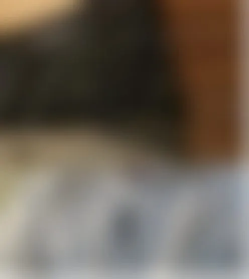 d********a