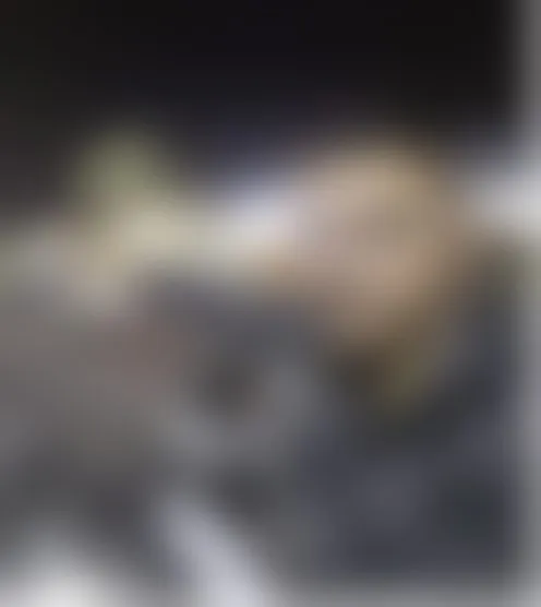 c******5