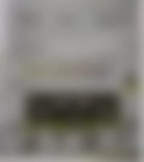 B*********1