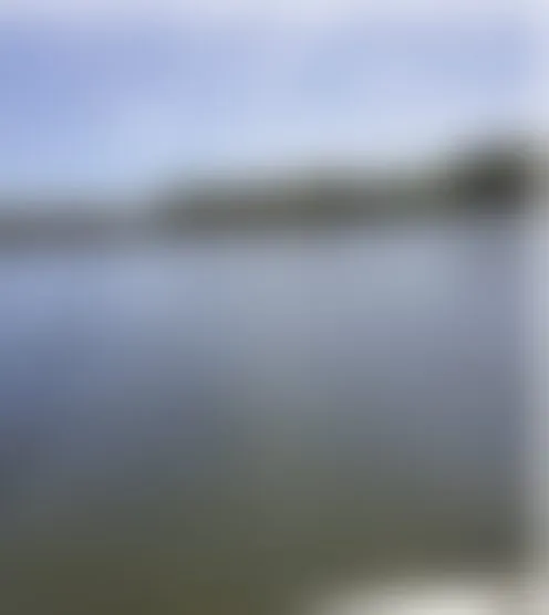 l***y