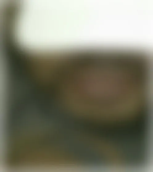 s*********4