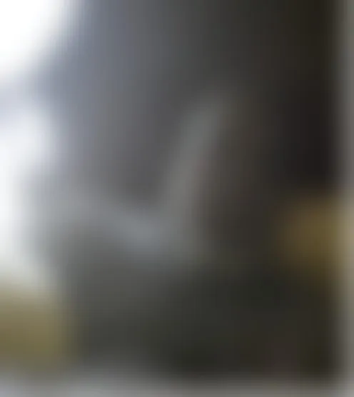 j***1