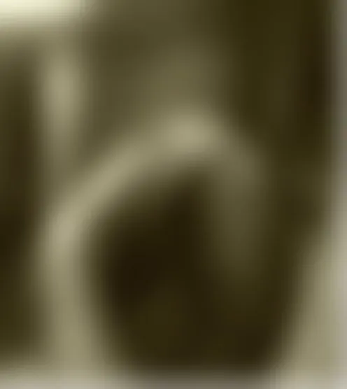 b****y
