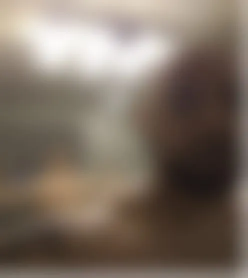 Z**k