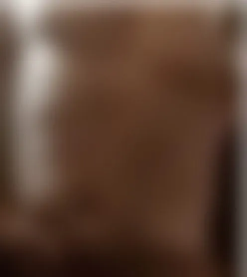 s*******2