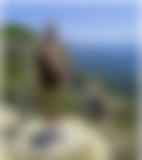y***********0
