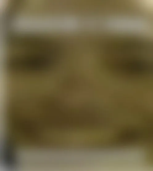 S*********4