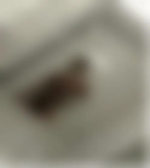 S*********s