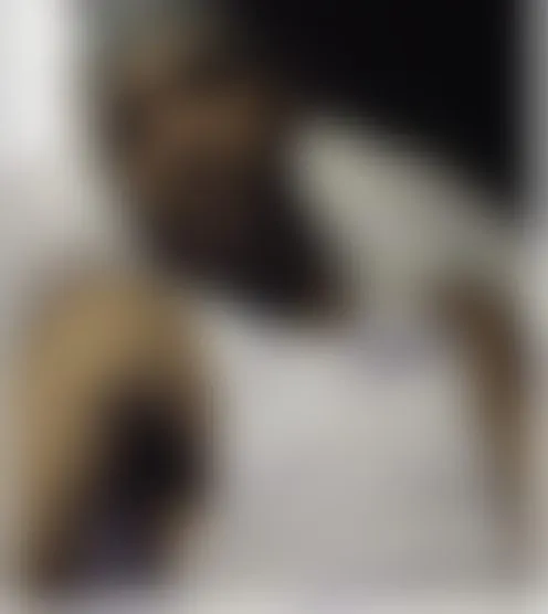 J****n