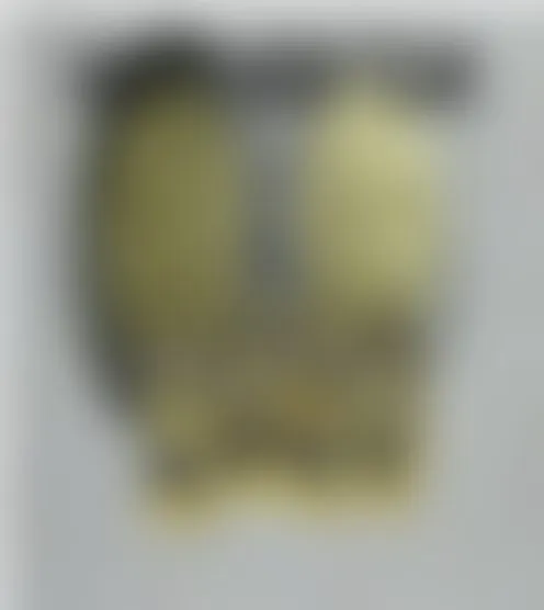 B**********5