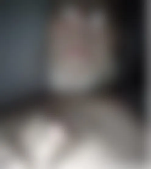 S******l