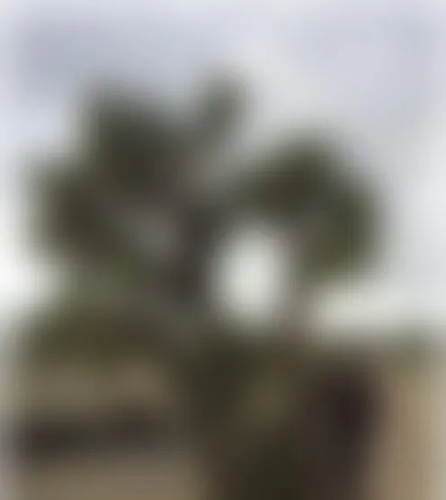 l*************0