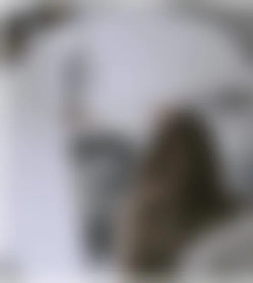 b********7