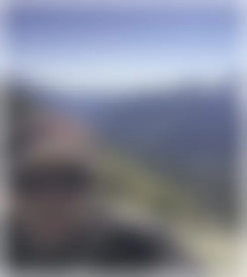 D***e