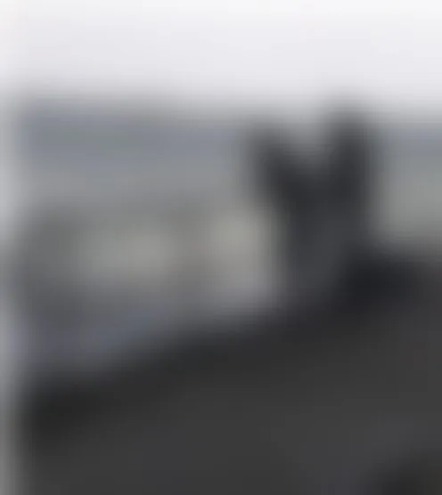 J****w