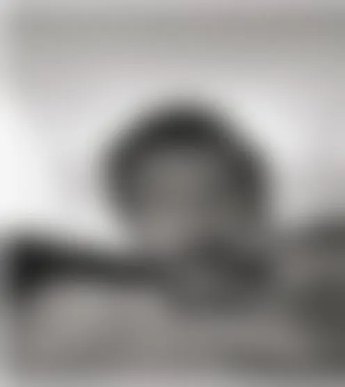 a***l