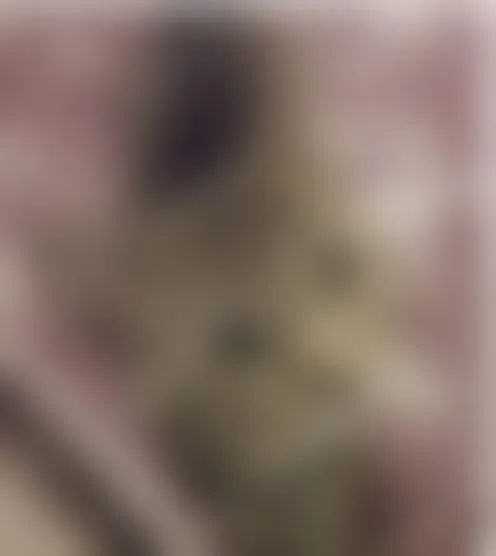 M*****k