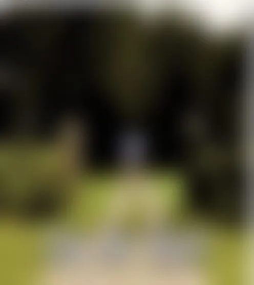 t***********s