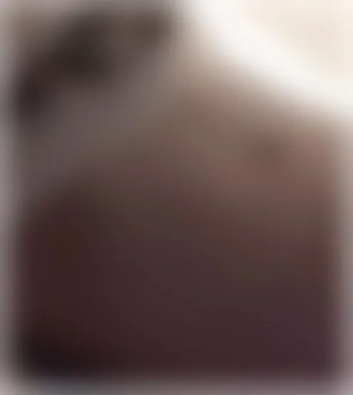 s***********t