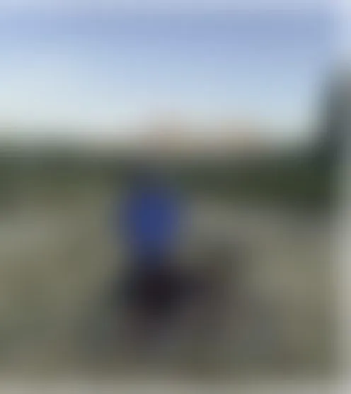 b***y