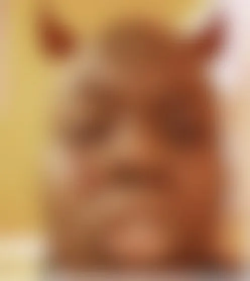 M***********h