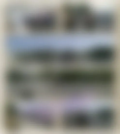 G****3