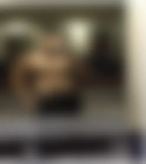 o***k