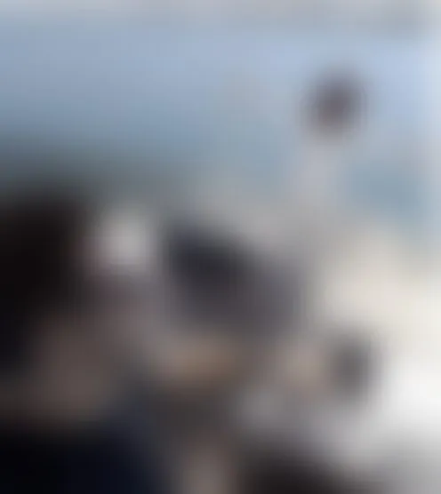 J***O
