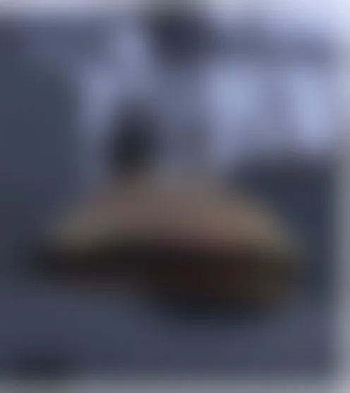 w******3