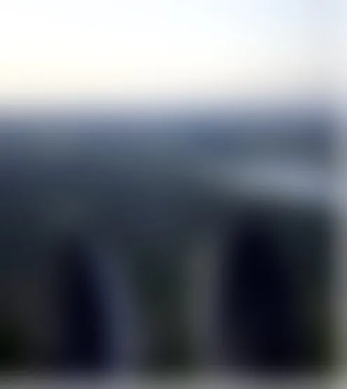 d******2