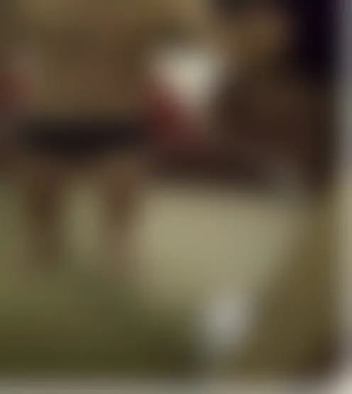 j**********e