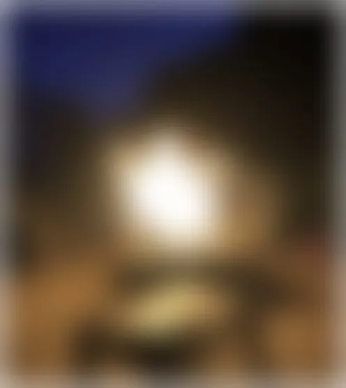 y**v