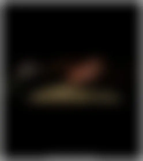 u*******6