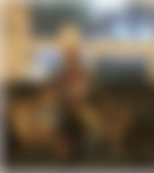 f******6