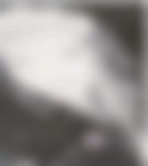 B***t