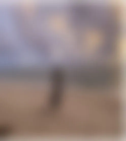 i********l