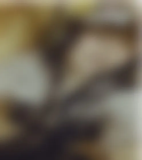 r***********y