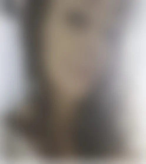 k****8