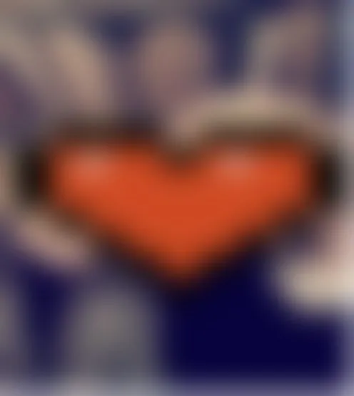 V*****a