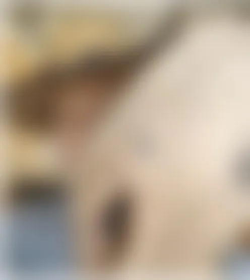 k****y