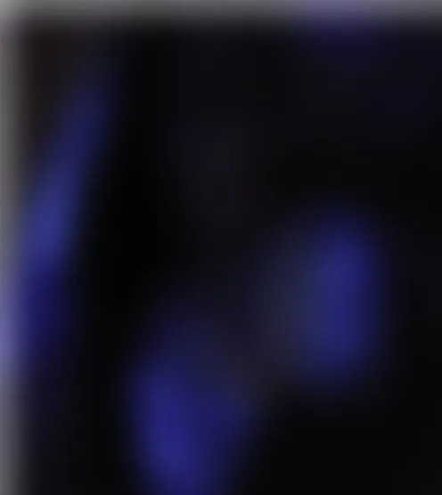 l**********3