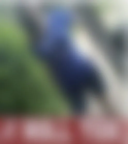 J******e